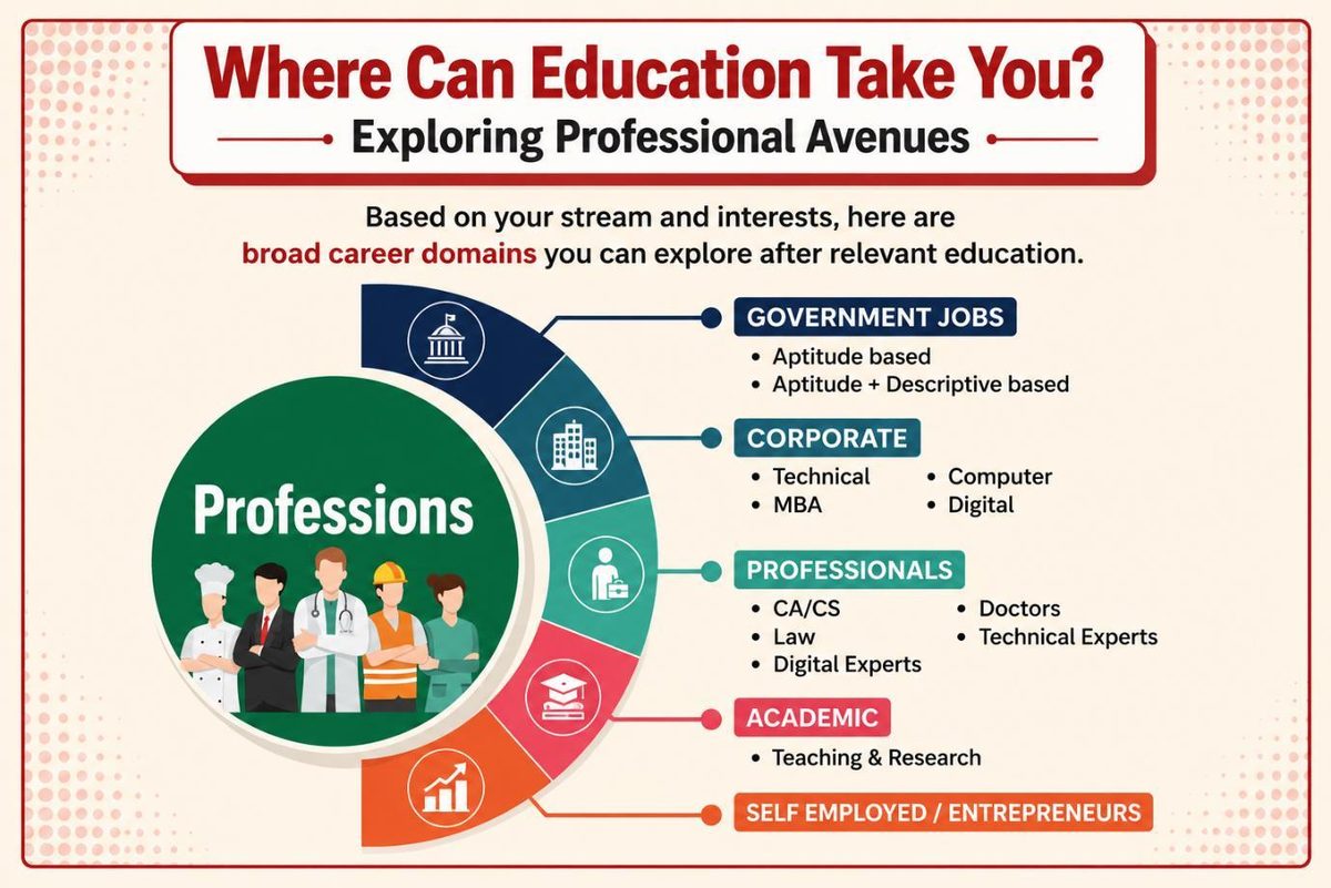 Infographic showing professional avenues after education across government, corporate, professional, academic and entrepreneurial domains